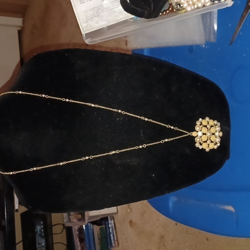 Long Fashion Necklace with Beaded Charm, EUC